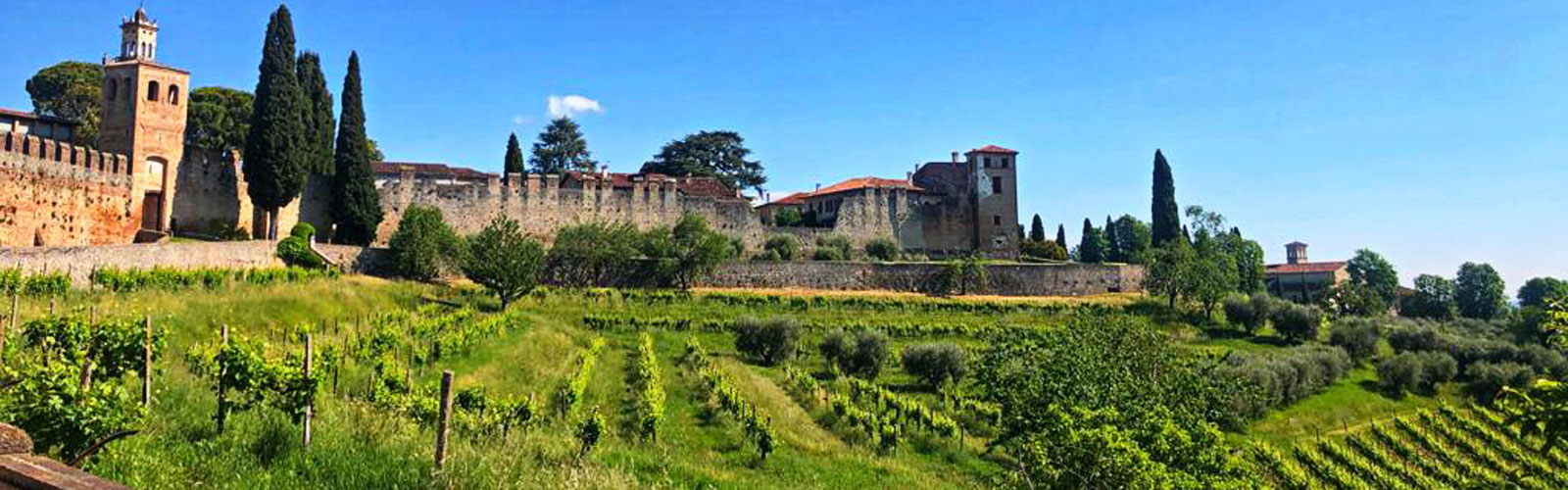 Prosecco Hills Castello di San Salvatore Susegana Italy Prosecco Hills - Italy